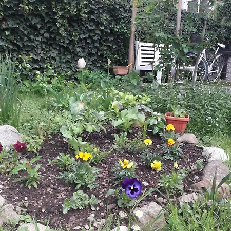 Daire Apartma Ilirija *