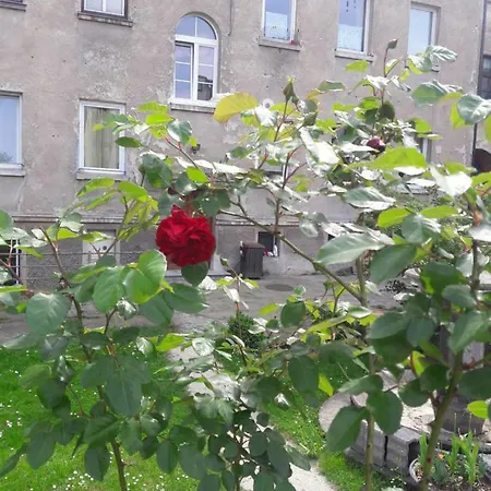 Apartma Ilirija * Lublaň